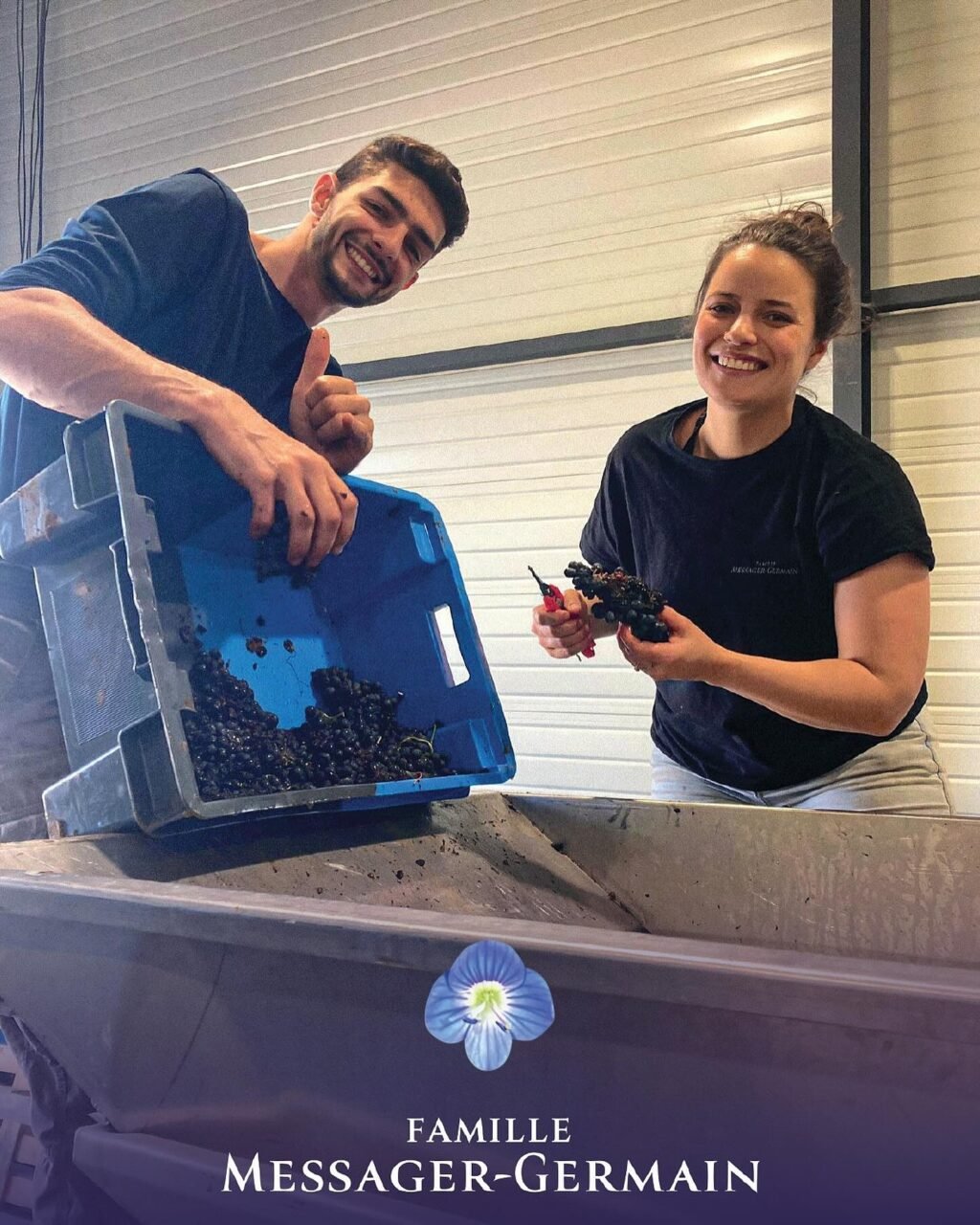 Instagram post from burgundywineclub. This post is in position 1.