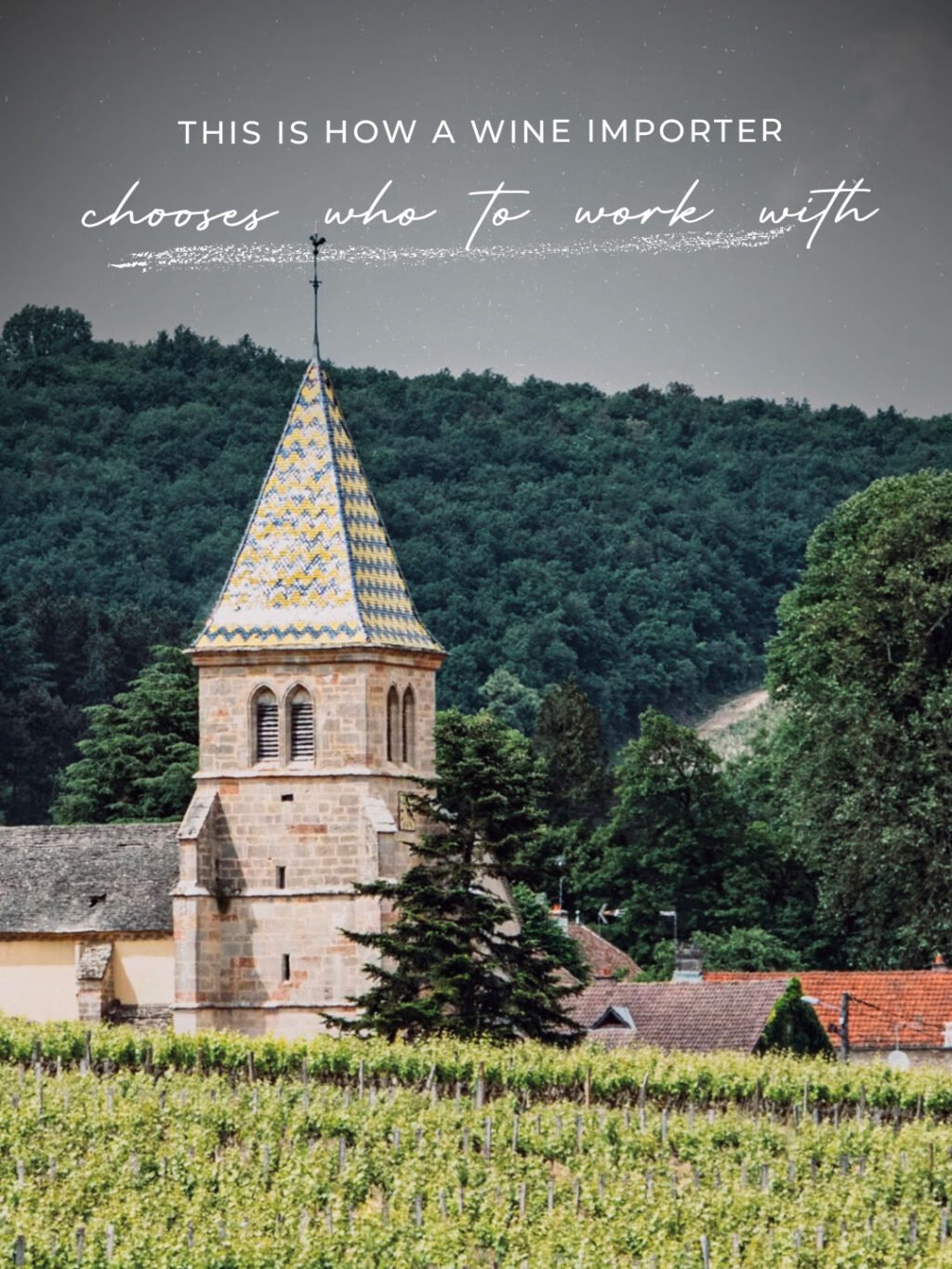 Instagram post from burgundywineclub. This post is in position 0.