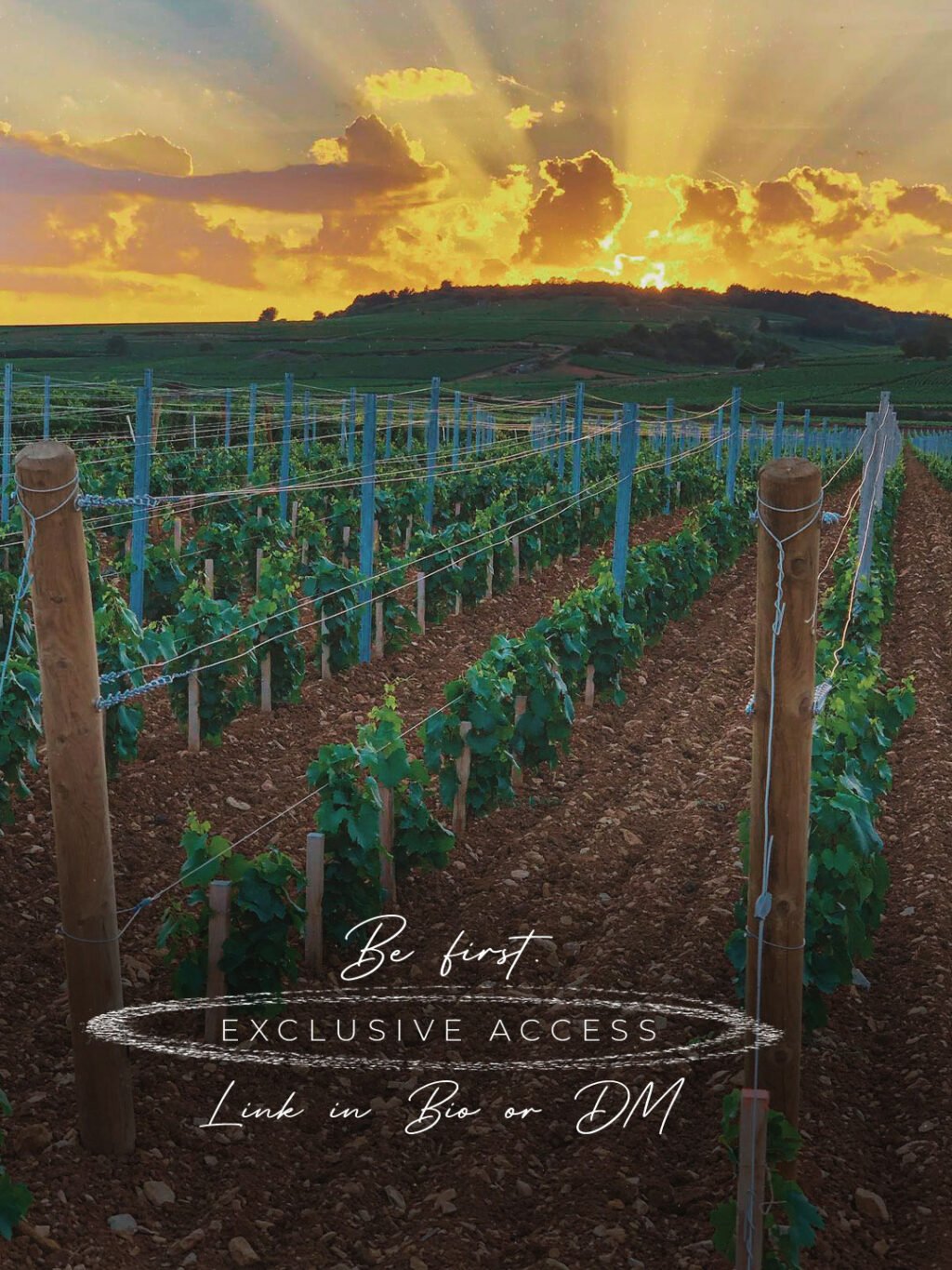 Instagram post from burgundywineclub. This post is in position 4.