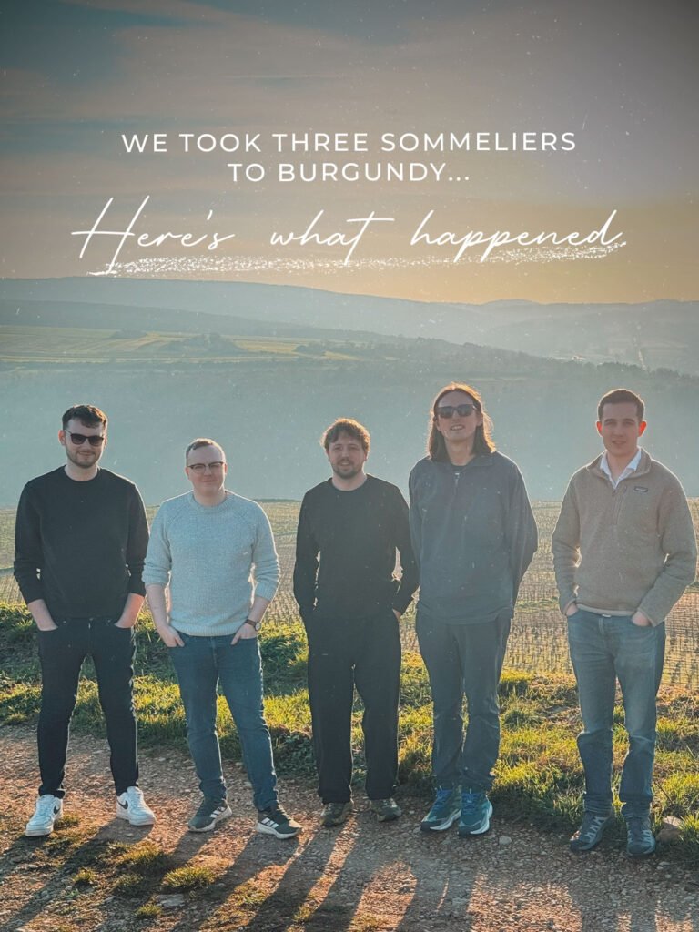 Instagram post from burgundywineclub. This post is in position 1.