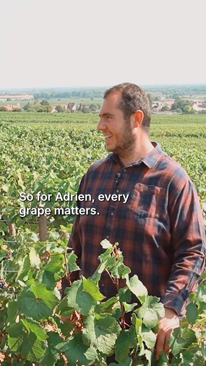 Instagram post from burgundywineclub. This post is in position 5.