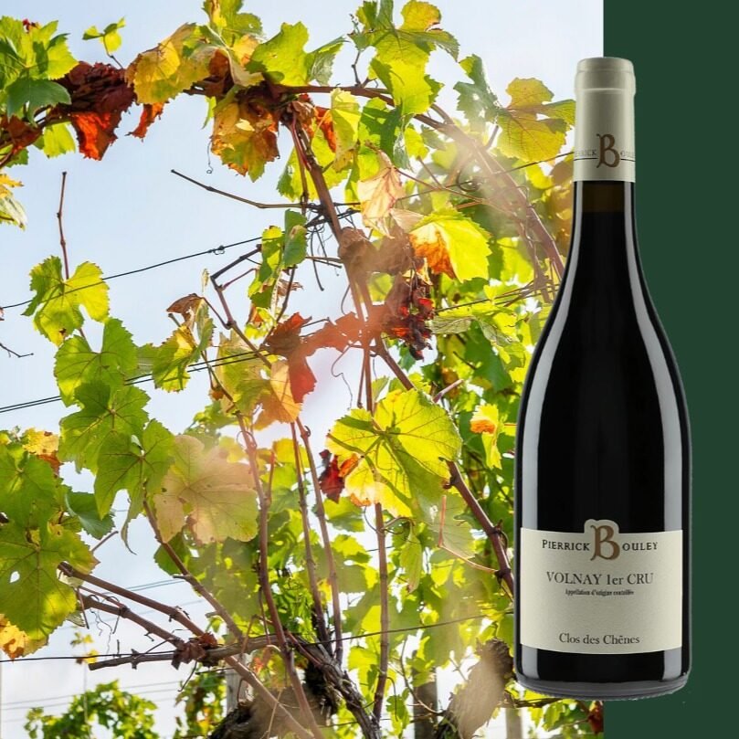 Instagram post from burgundywineclub. This post is in position 1.