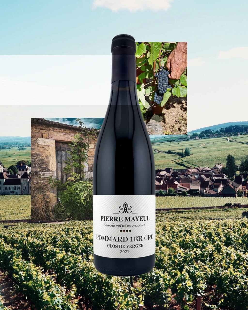 Instagram post from burgundywineclub. This post is in position 0.