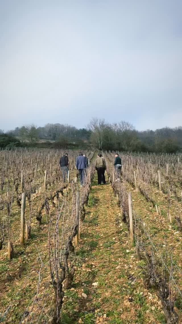 Instagram post from burgundywineclub. This post is in position 0.