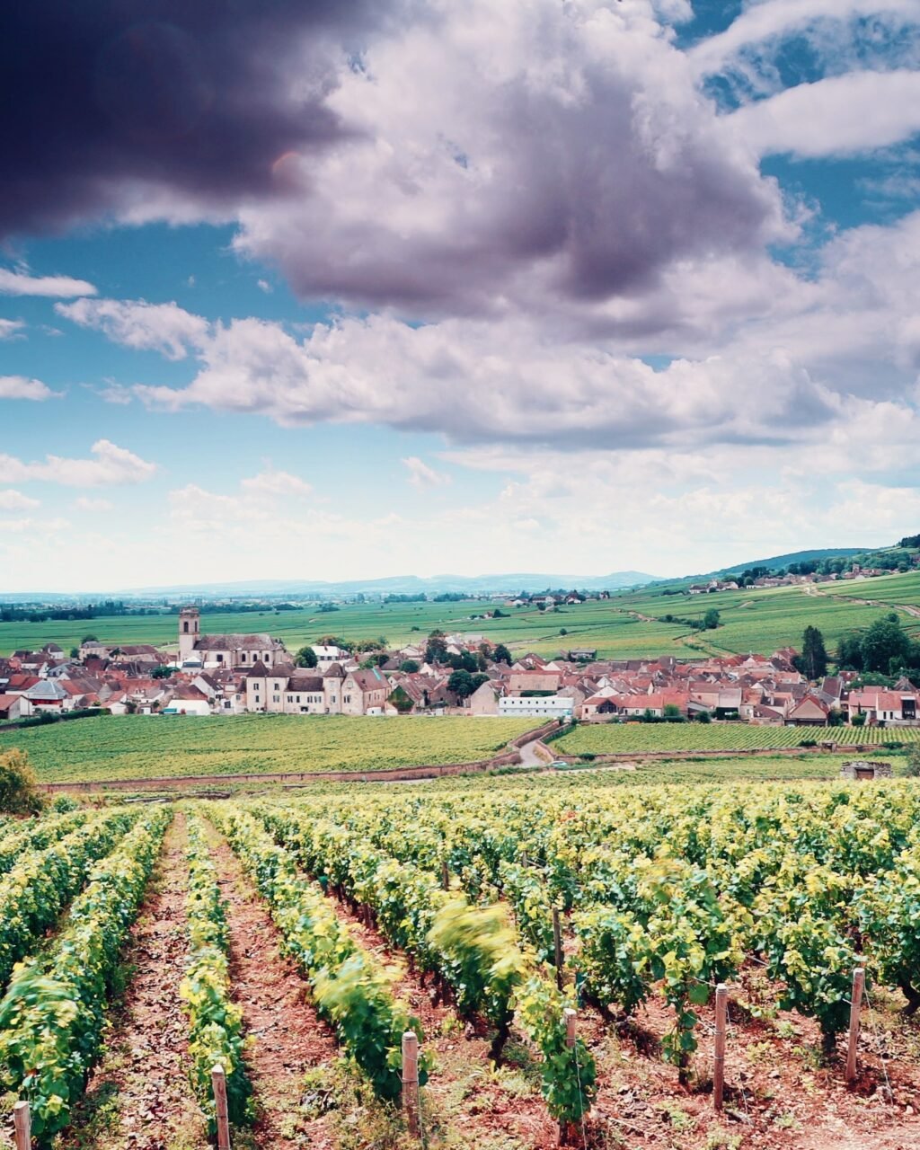 Instagram post from burgundywineclub. This post is in position 1.