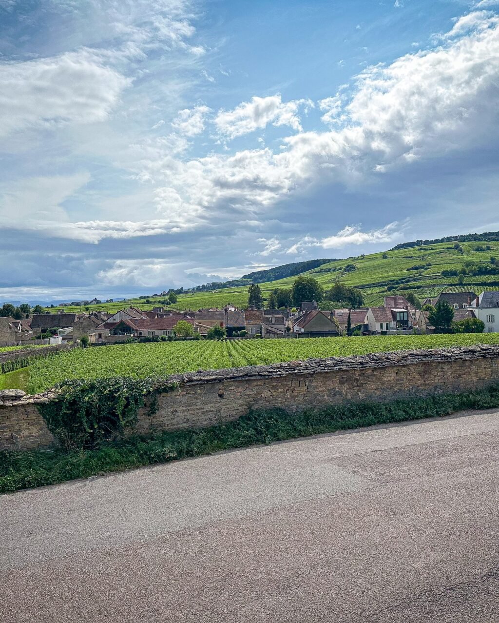 Instagram post from burgundywineclub. This post is in position 2.