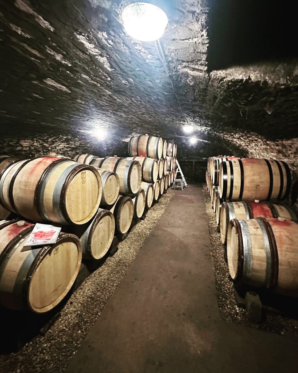 Instagram post from burgundywineclub. This post is in position 2.
