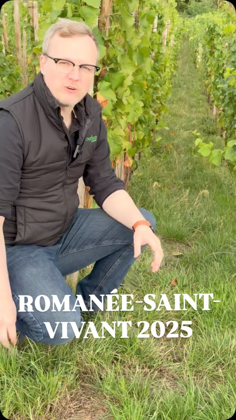 Instagram post from burgundywineclub. This post is in position 1.