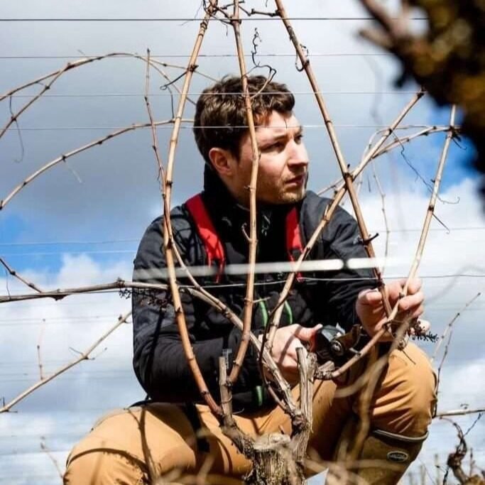 Instagram post from burgundywineclub. This post is in position 0.