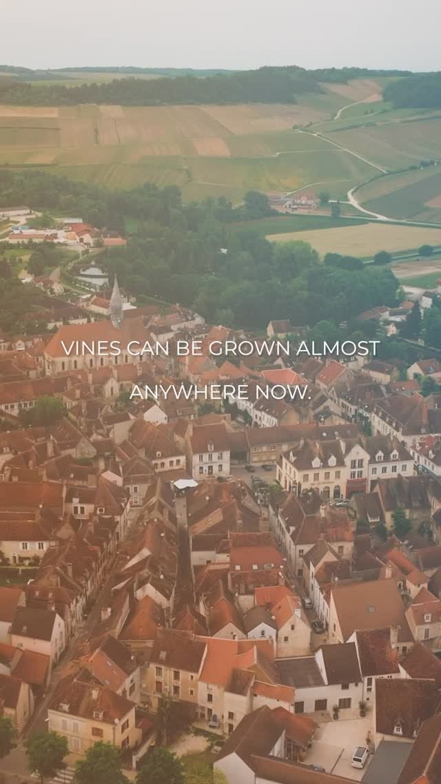 Instagram post from burgundywineclub. This post is in position 1.