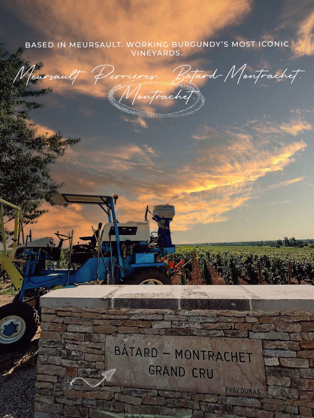 Instagram post from burgundywineclub. This post is in position 1.