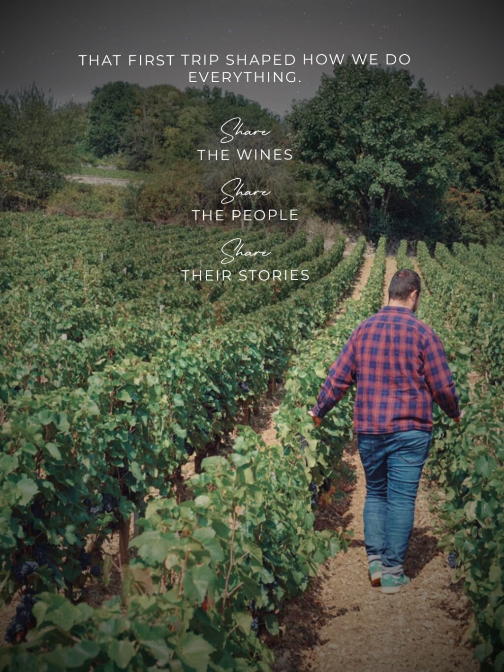 Instagram post from burgundywineclub. This post is in position 4.