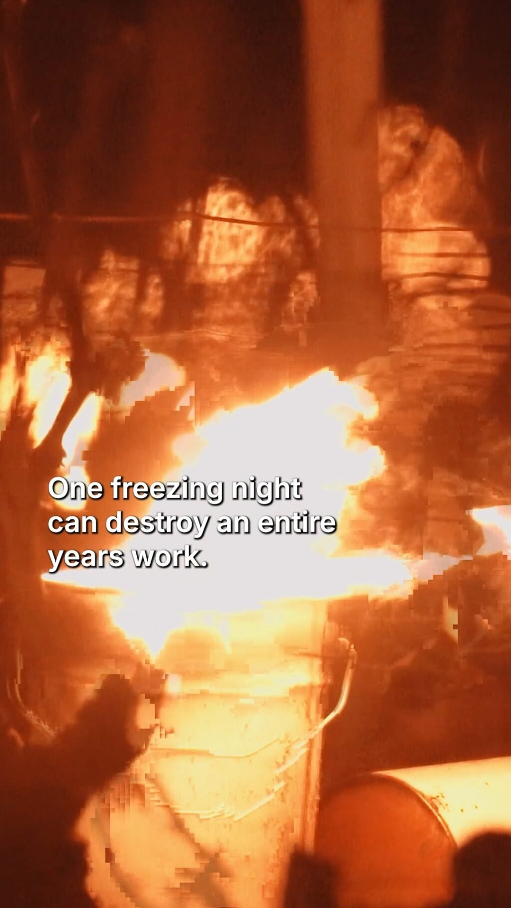 Instagram post from burgundywineclub. This post is in position 0.