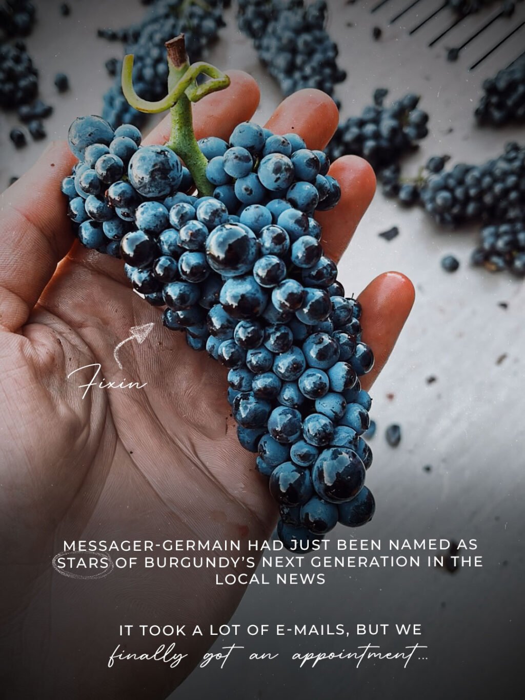 Instagram post from burgundywineclub. This post is in position 2.