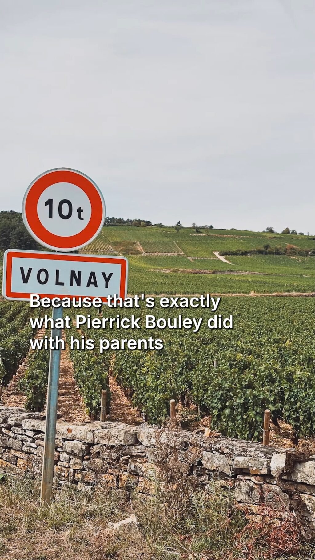 Instagram post from burgundywineclub. This post is in position 0.