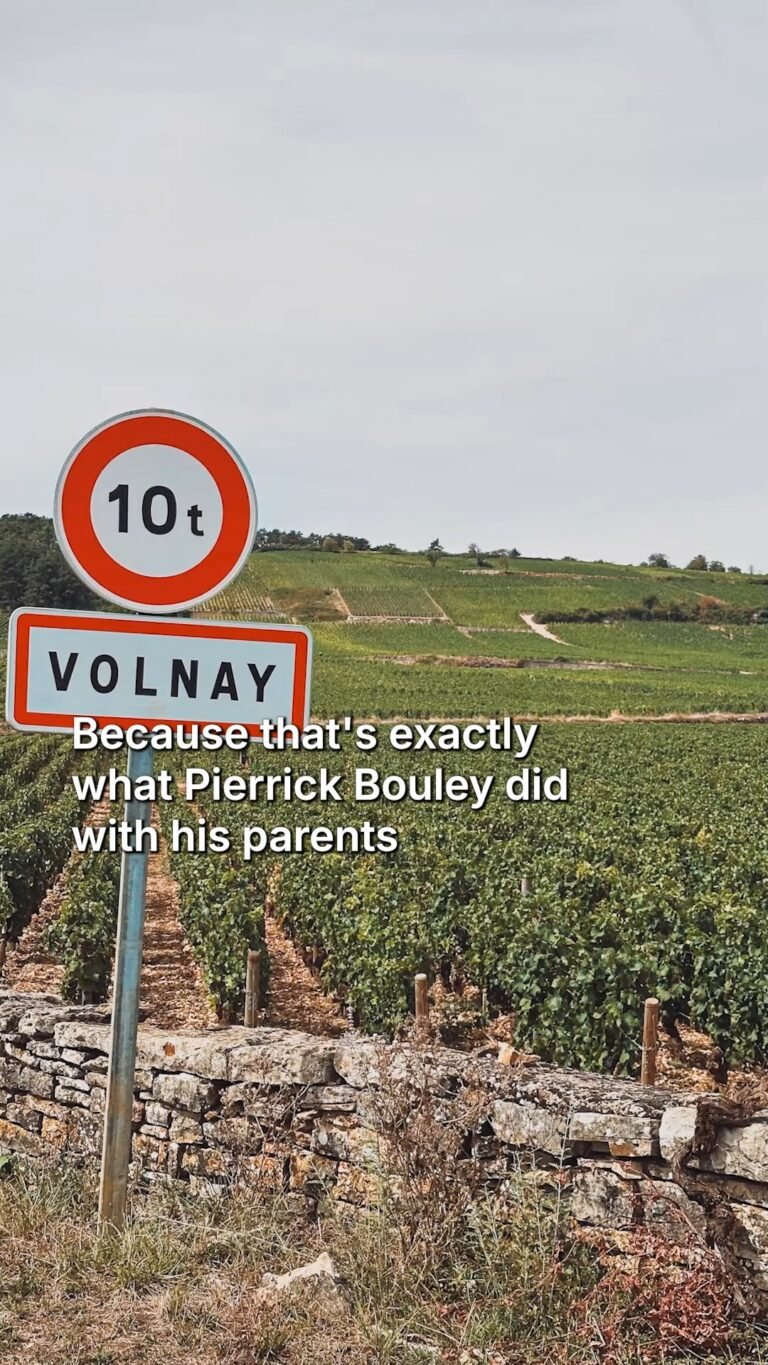 Instagram post from burgundywineclub. This post is in position 1.